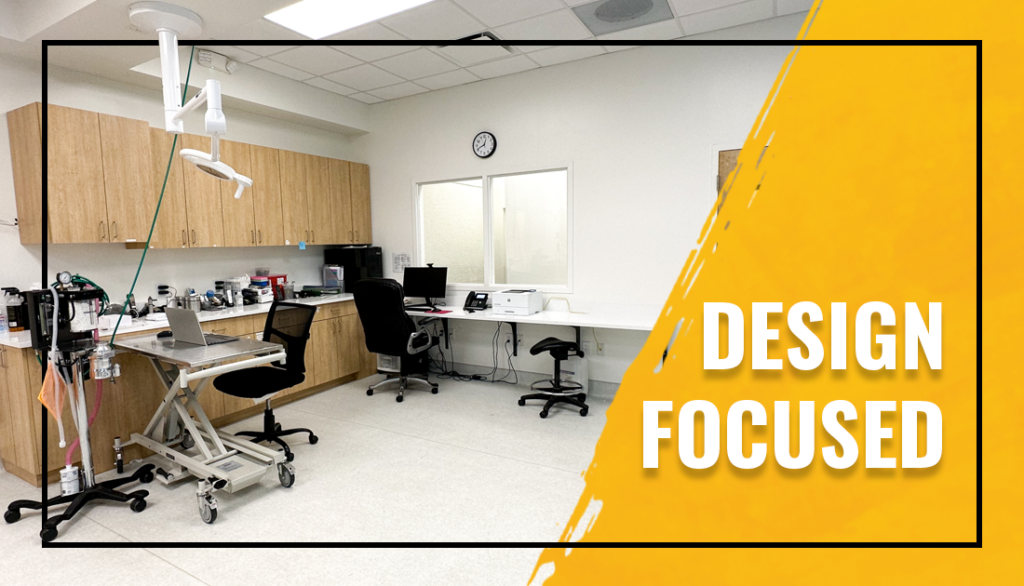 This subheader graphic shows an image of one of the rooms at the vet clinic after renovating. The copy says, "DESIGN FOCUSED"