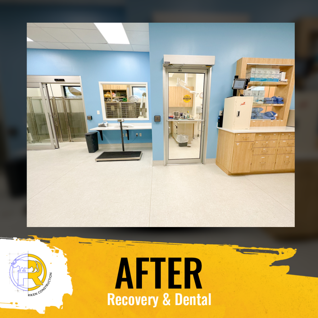 This graphic has an image of what Flora Family Vet's recovery and dental room looks like after the renovation. The copy reads, "AFTER," "Recovery & Dental"