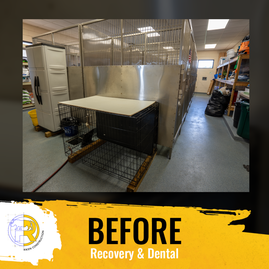 This graphic has an image of what Flora Family Vet's recovery and dental room looked like prior to the renovation. The copy reads, "BEFORE," "Recovery & Dental"