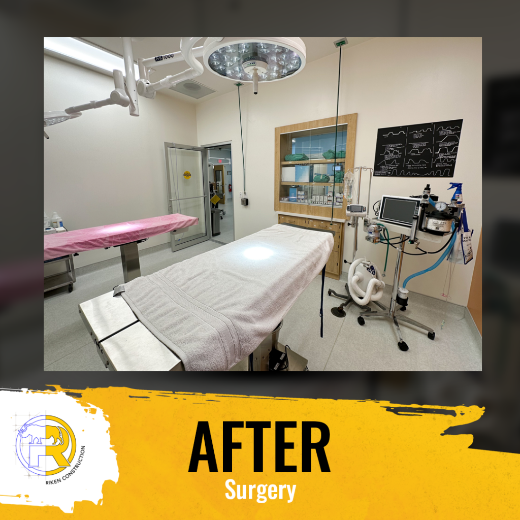 This graphic shows an image of what the surgery room at Flora Family Vet looks like after the renovation. The copy reads, "AFTER," "Surgery"