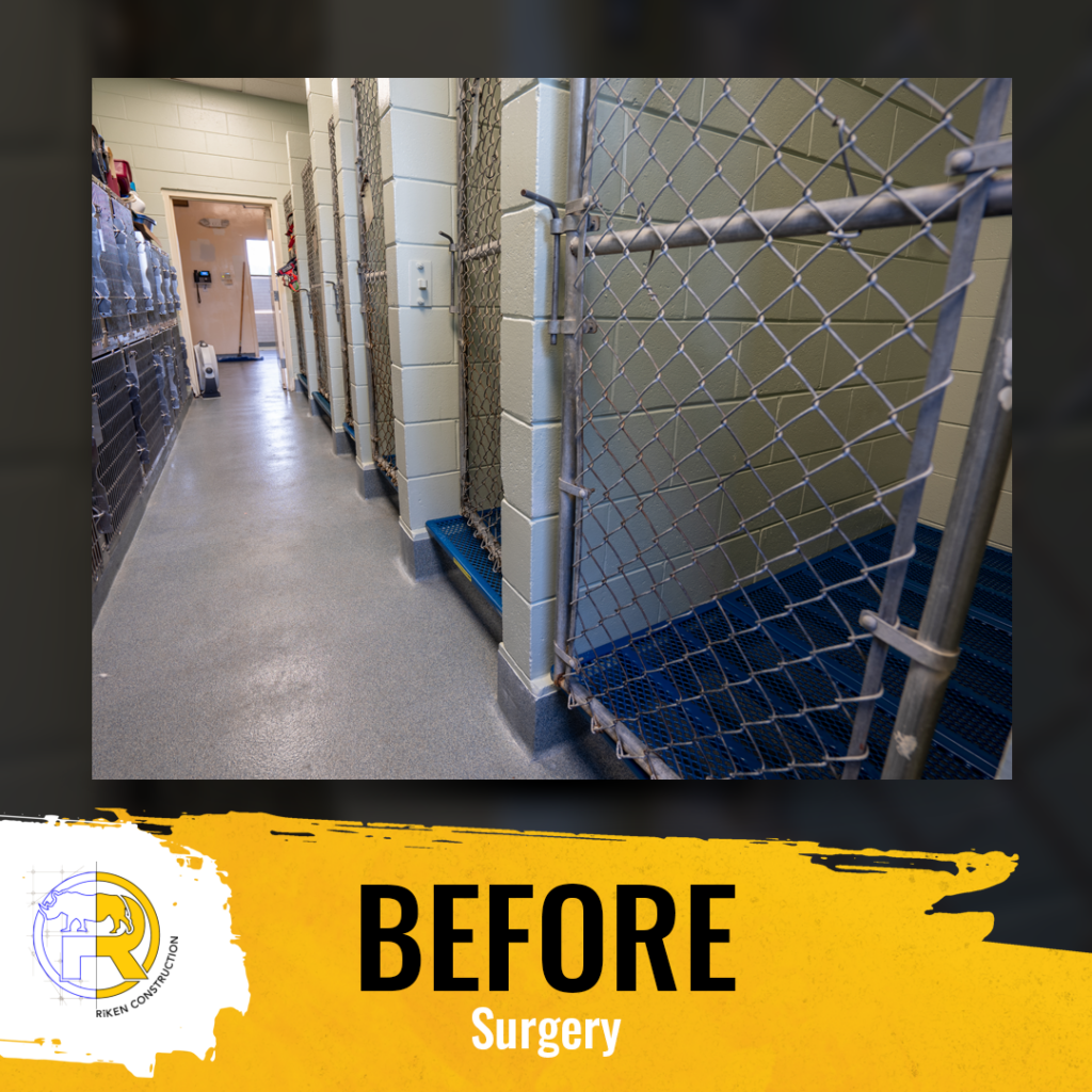 This graphic shows an image of what the surgery room at Flora Family Vet looked like prior to remodel.The copy reads, "BEFORE," "Surgery"